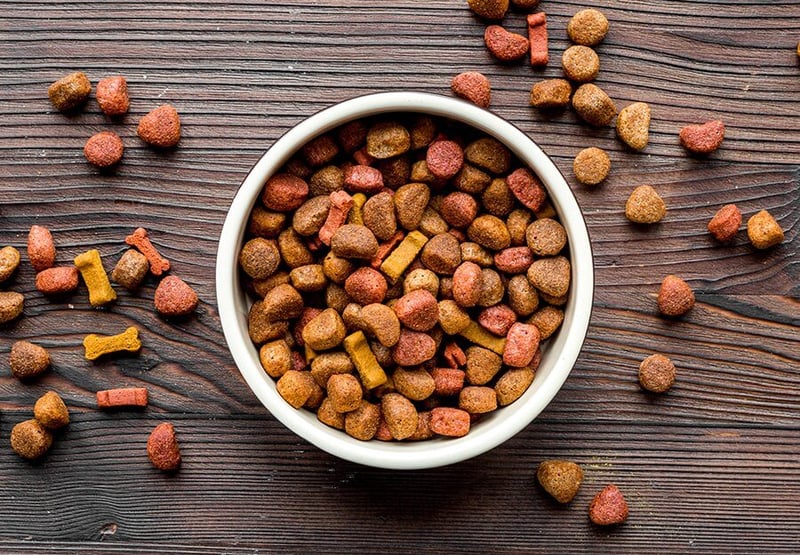 Inexpensive dog food cheap